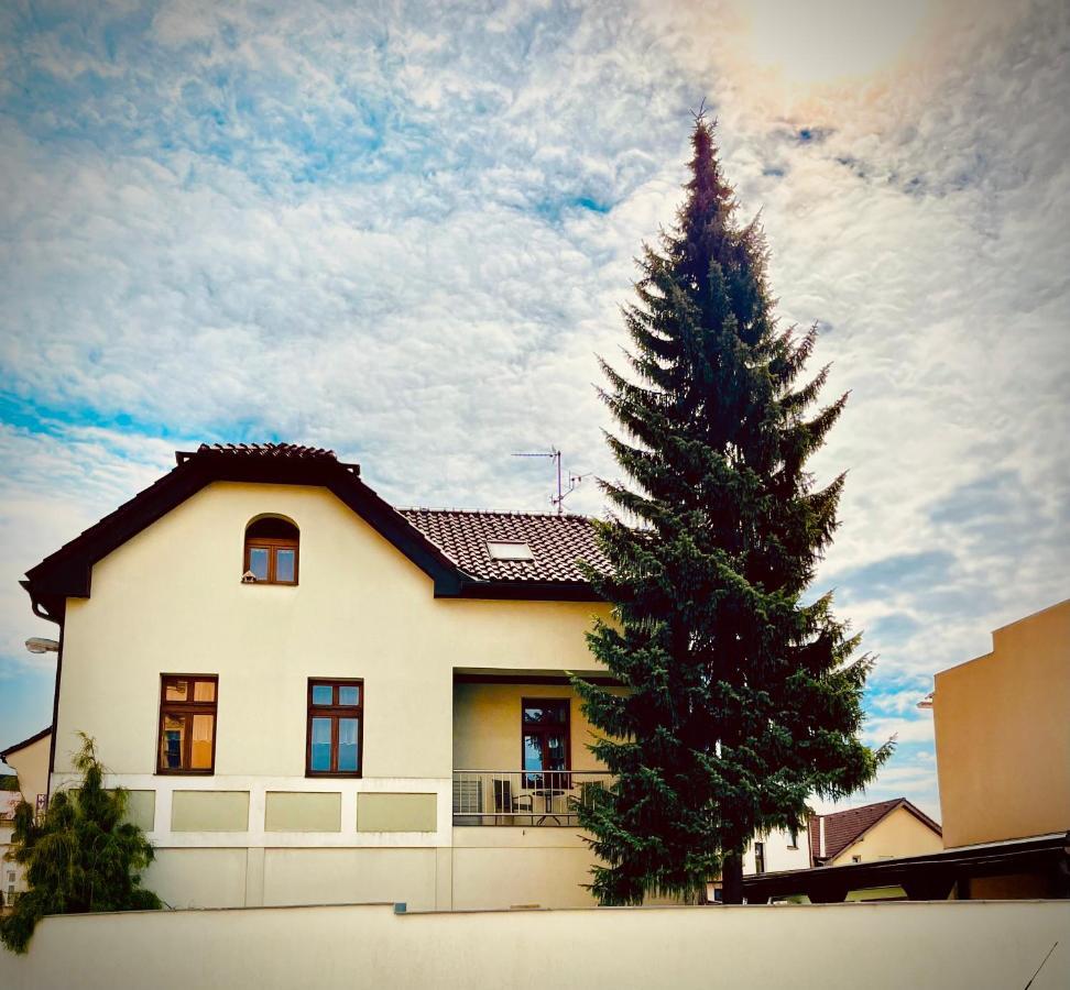 Apartman U Smrku Dvur Kralove nad Labem Exterior photo